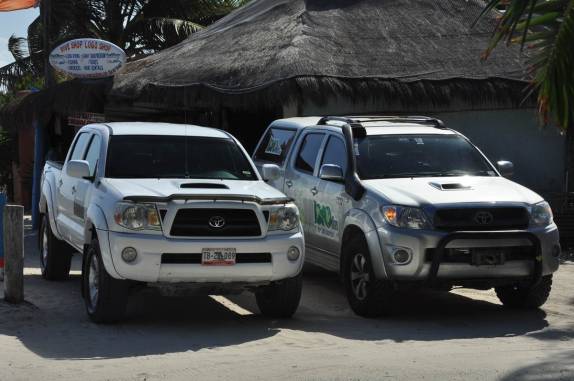 Fiona encontra uma parente em Tulum, na costa caribenha do Yucatán, no México